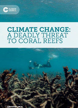 Climate change: a deadly threat to coral reefs 